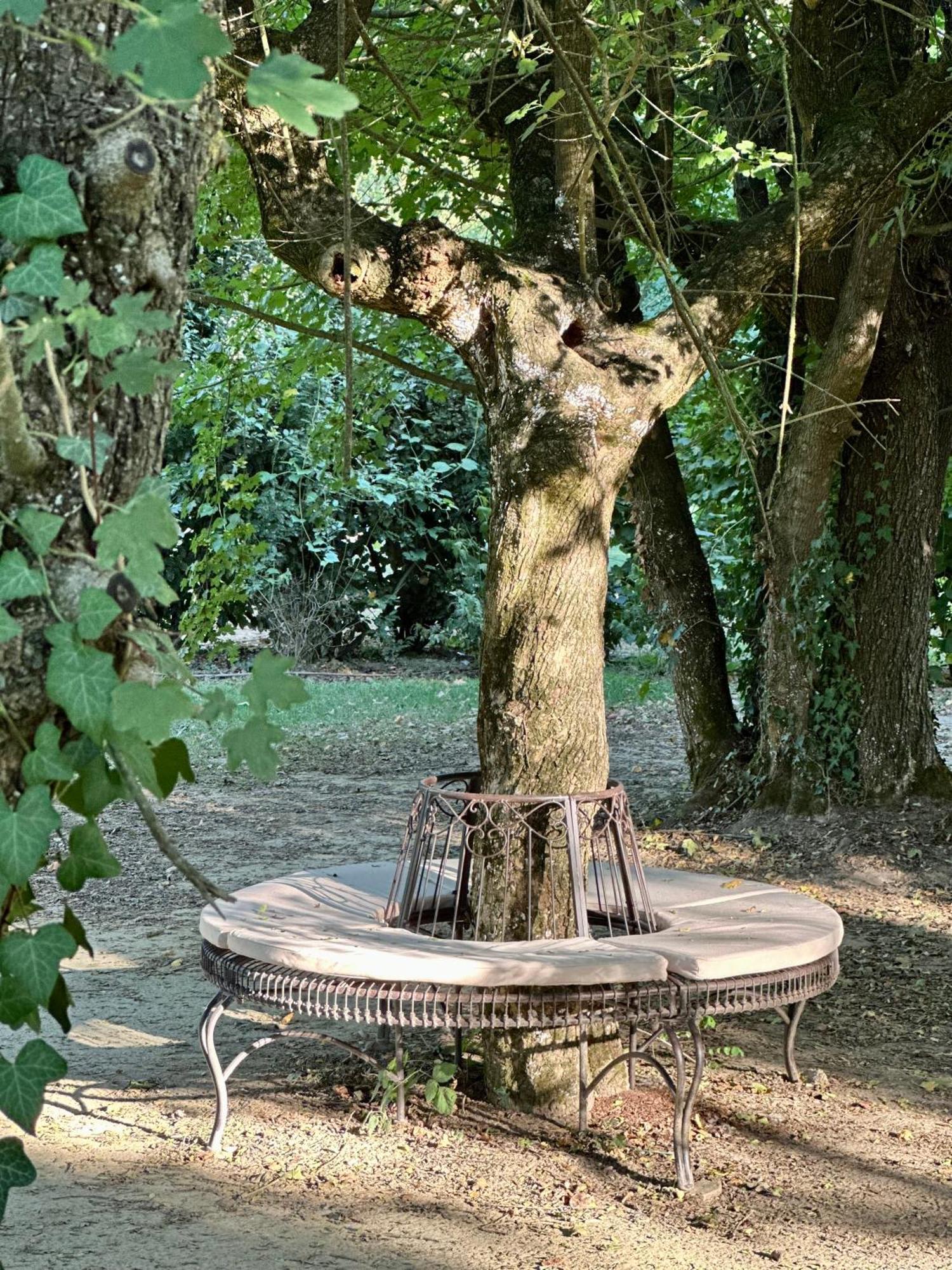 Casale La Gora - B&B di charme Figline Valdarno Esterno foto