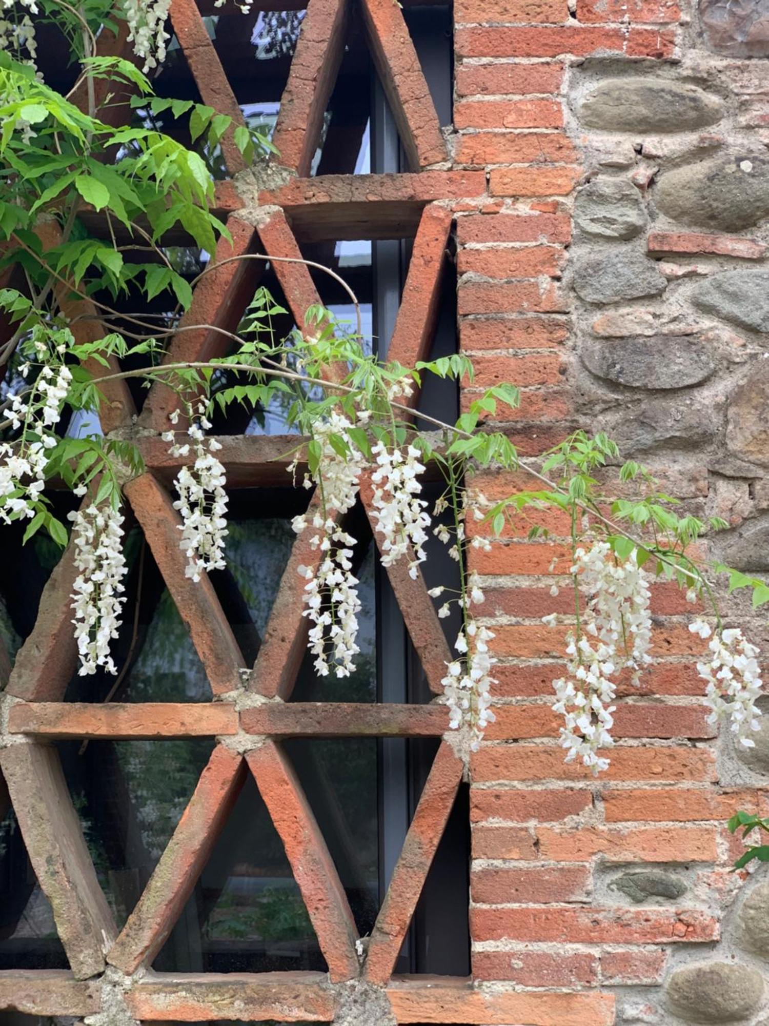 Casale La Gora - B&B di charme Figline Valdarno Esterno foto