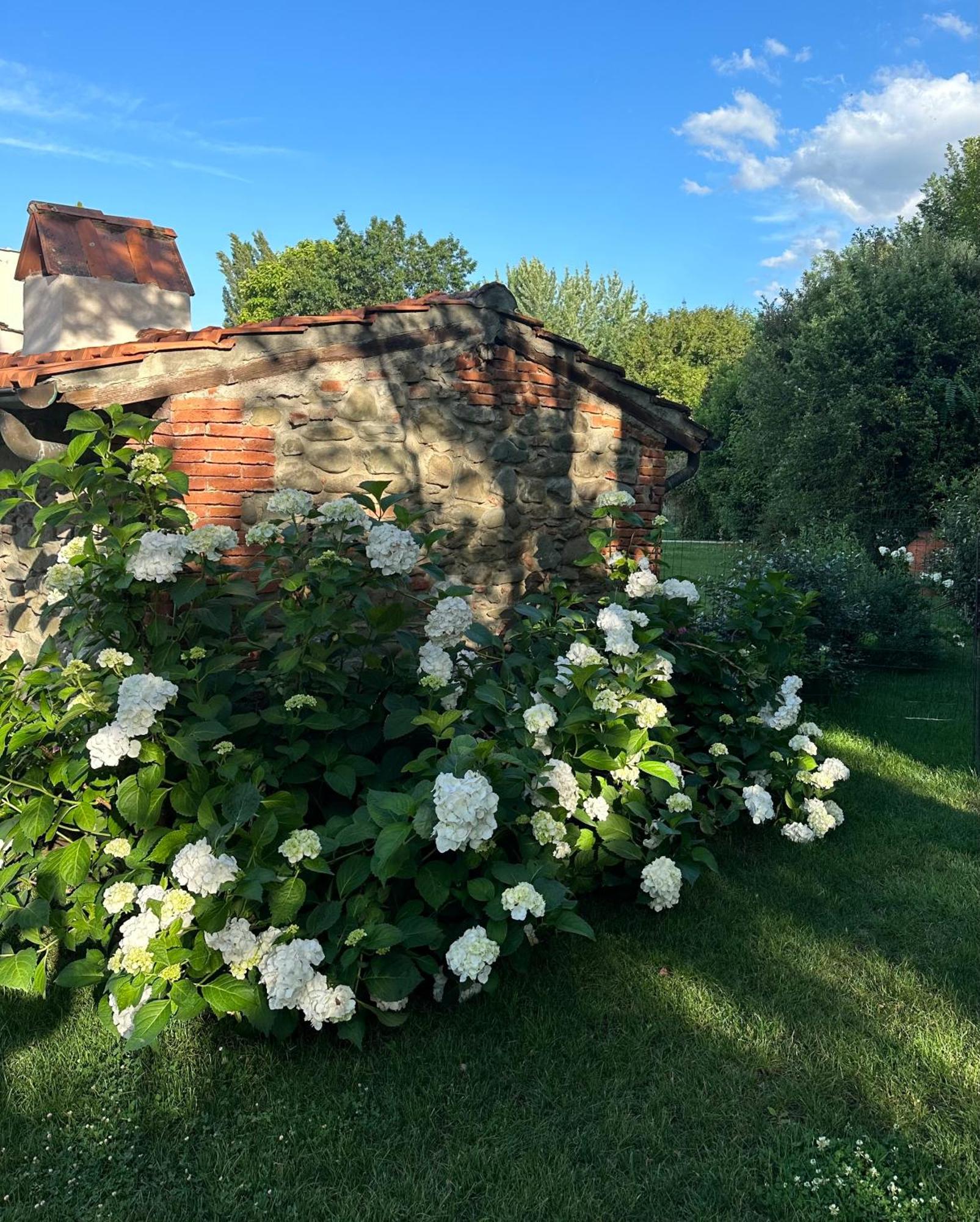 Casale La Gora - B&B di charme Figline Valdarno Esterno foto